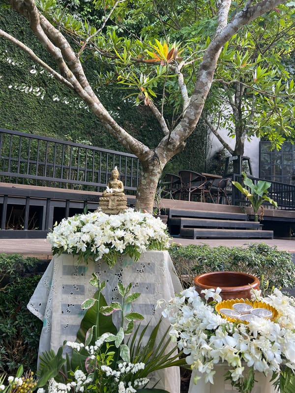 Tranquil garden and boardwalk scenes documented in Khao Thong