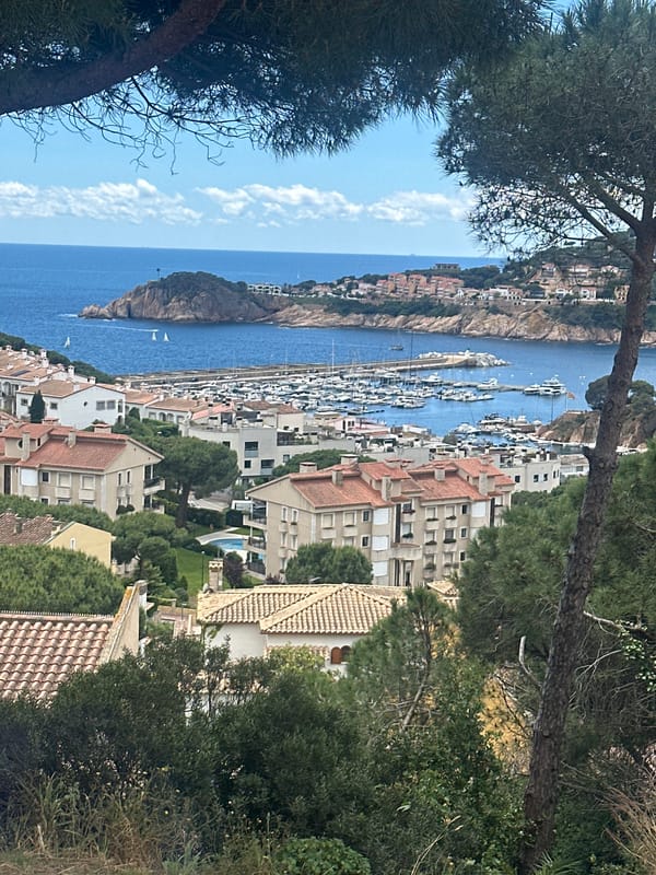 Coastal memories and vodka moments documented in Spanish seaside town
