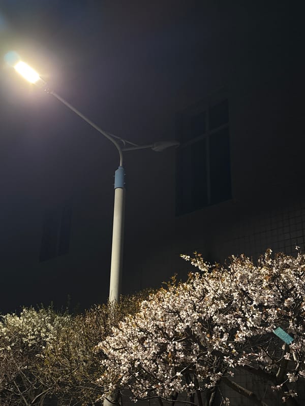 Nighttime street scenes captured in Zhongtun, China