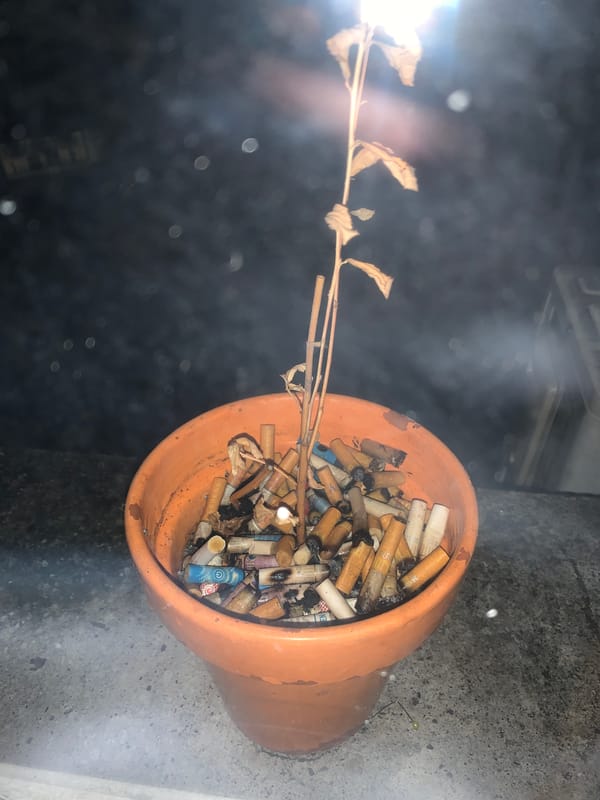 Late-night gaming session documented in Buenos Aires apartment