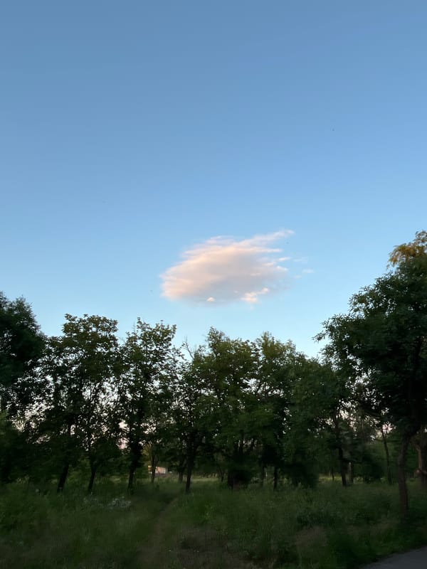 Dusk wandering through Kryvyi Rih's fields, flowers, and quiet streets