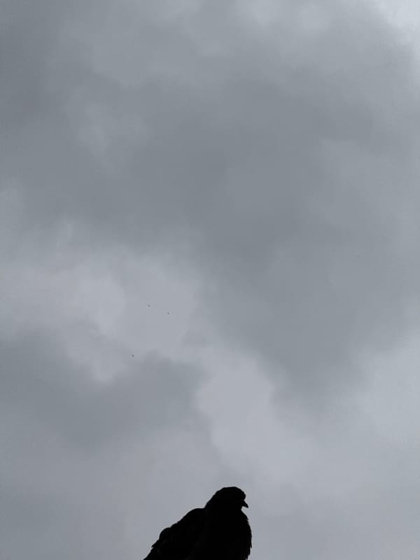 Man photographed jumping, posing on ledge in Shumen, Bulgaria
