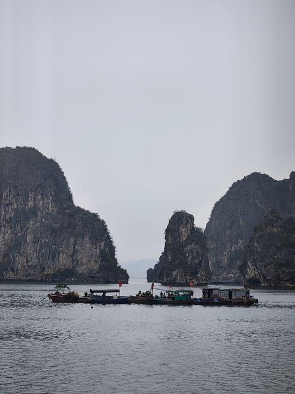 Morning scenes from Ha Long Bay and local playground