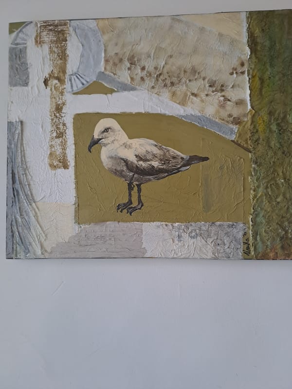 Morning indoor scenes: card game and artwork in Veliko Tarnovo