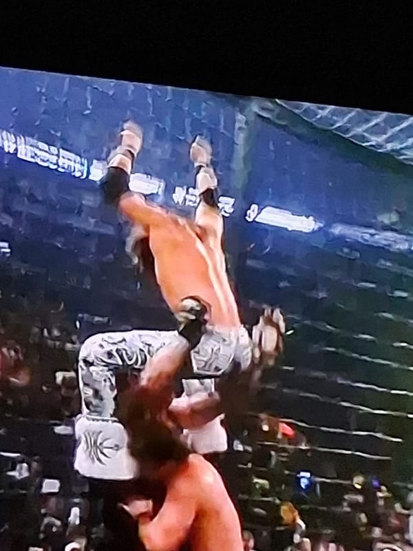 Wrestling match observed in steel cage setting