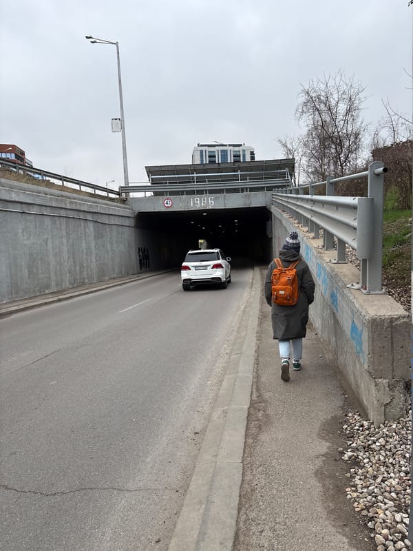 Morning scenes in Sofia: pedestrian near tunnel, fruit arrangements