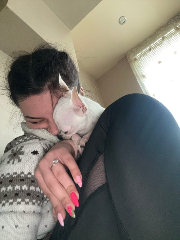 Woman shares tender moments with white Chihuahua in Bulgaria