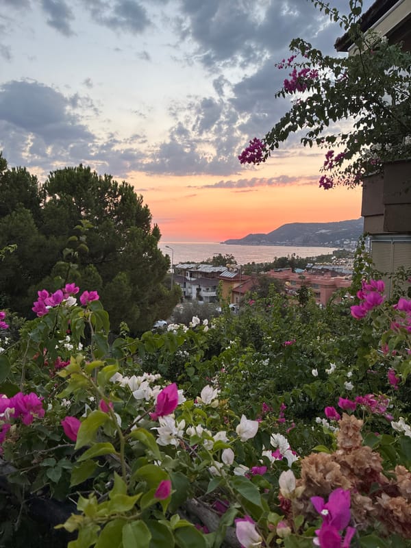 Alanya coastline at golden hour, framed by bougainvillea