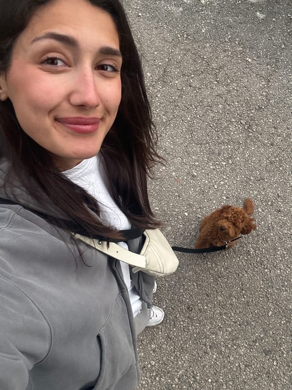 Woman documents afternoon dog walk through Montenegro coastal towns