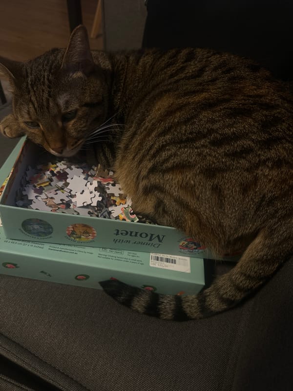 Cat Claims Monet Jigsaw Puzzle as Nap Spot