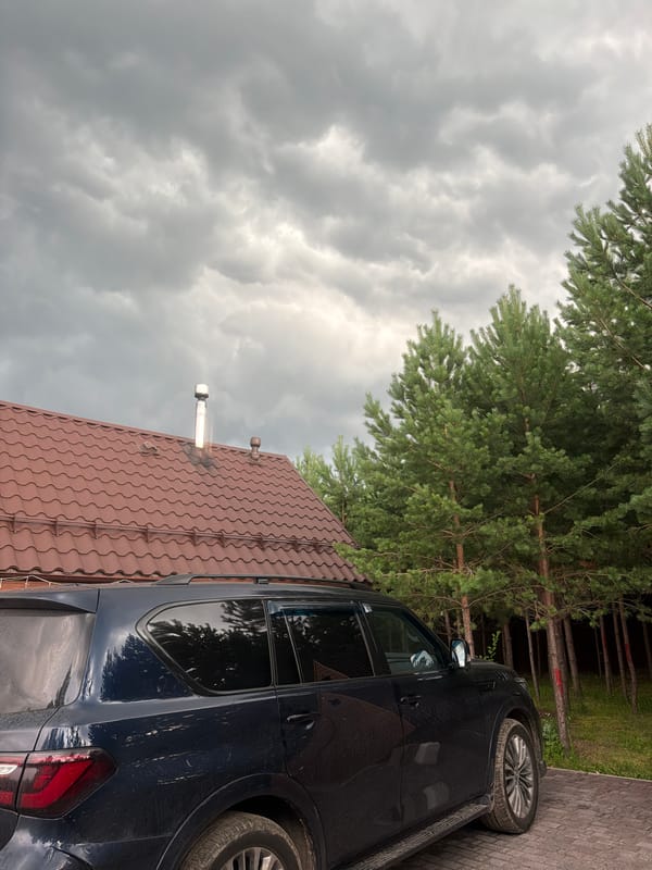 Rainy afternoon in a Russian village backyard