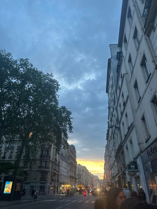 Paris street scene captured at dusk with varied architecture
