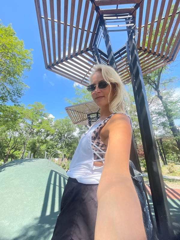 Playground and Ferris wheel fun at a Novorossiysk park
