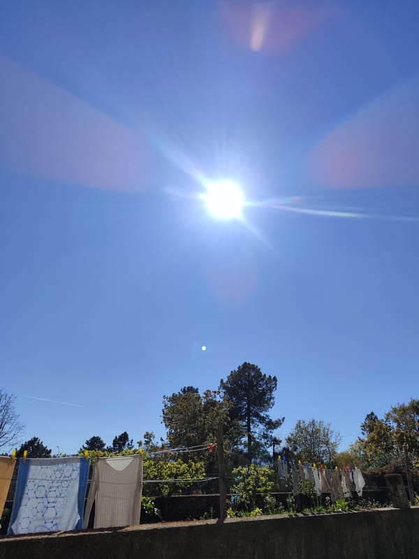 Sunny afternoon scenes captured in Vila Real, Portugal