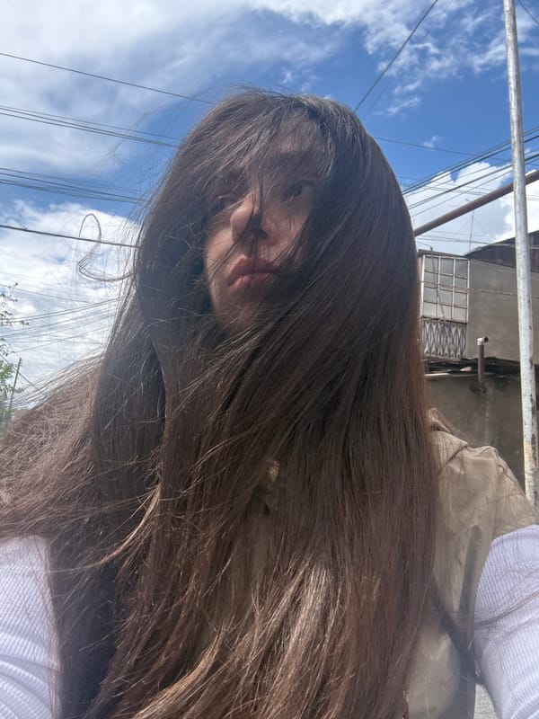 Woman photographed multiple times in downtown Yerevan