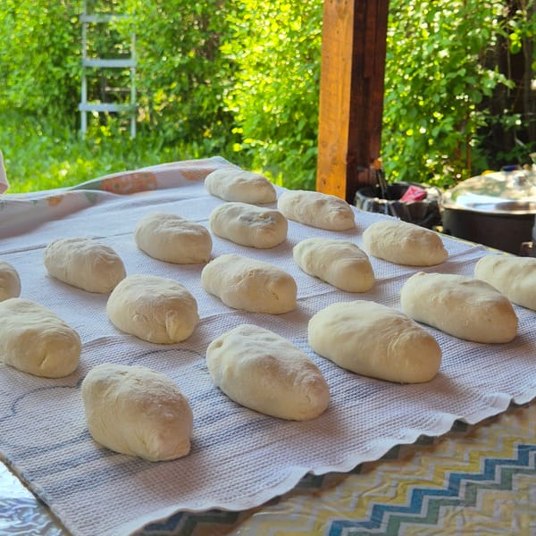 Traditional outdoor cooking gathering documented in Новостройка, Russia