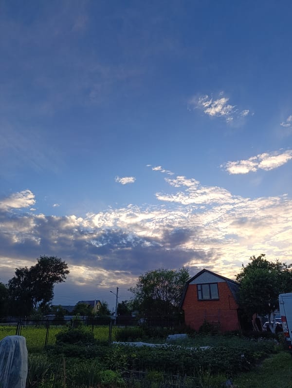 Summer evening at a Russian dacha, gardens and quiet backyard life