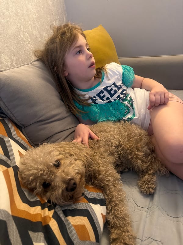 Morning snapshots capture everyday life with pets in Perm