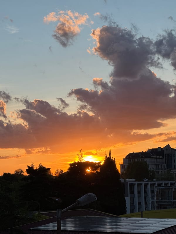 Evening moments captured in Tsarevo: sunset views, dog feeding
