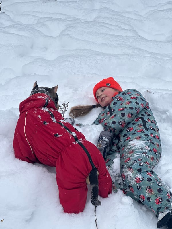 Child and dog play in snowy Saint Petersburg park