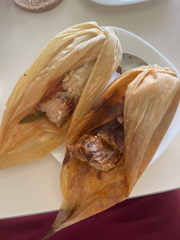 Two tamales with different fillings observed on white plate