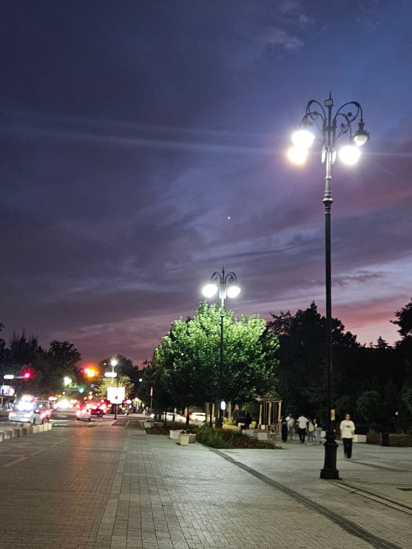Dusk settles over a tree-lined avenue in Almaty
