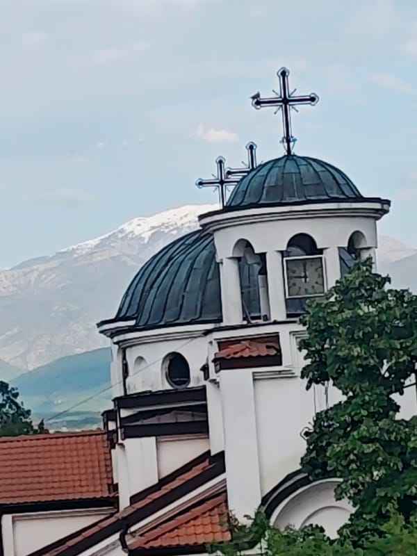 Bulgarian village scenes: Orthodox church, stork nests, pseudoscorpion documented