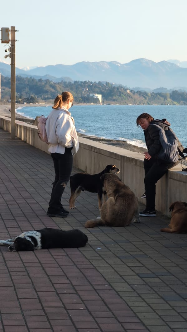 Leisure gatherings observed along Kobuleti waterfront with dogs, fire