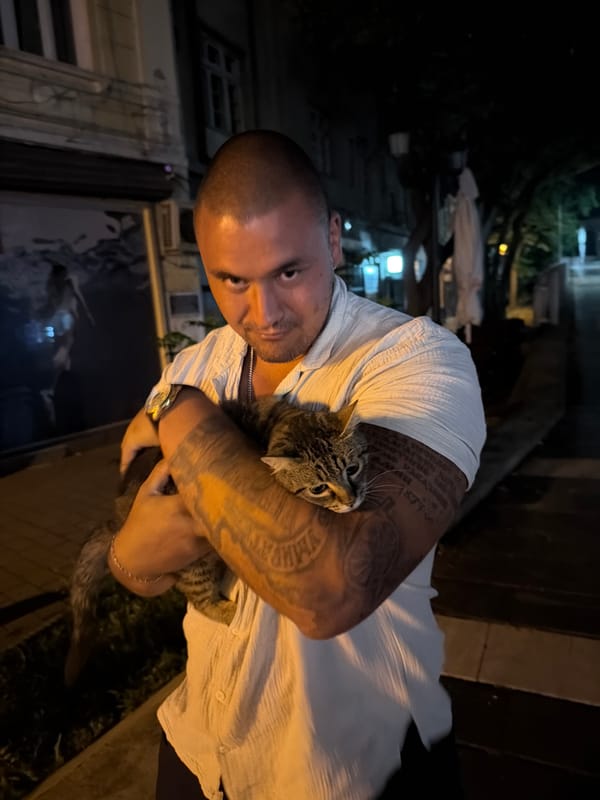 Cats out on a Plovdiv street, late night
