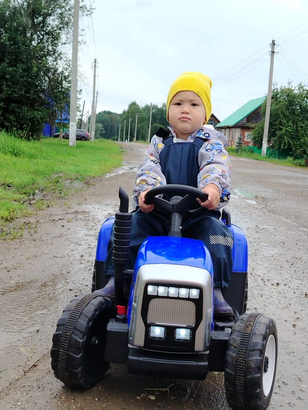 Rainy morning in a Russian yard, toy tractor and garden details