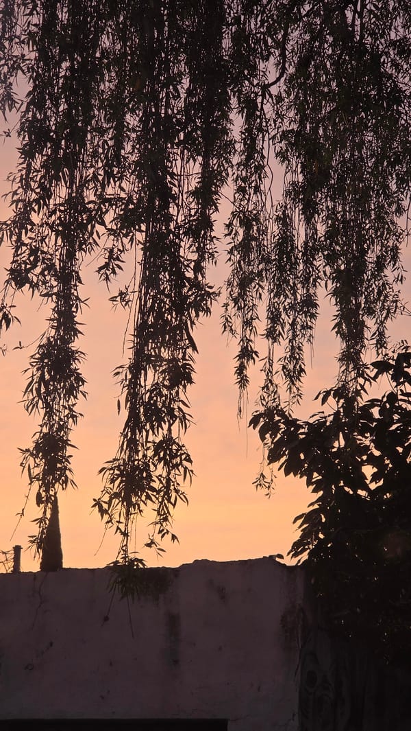 Dawn or dusk scene captured in San Bernardino Tlaxcalancingo