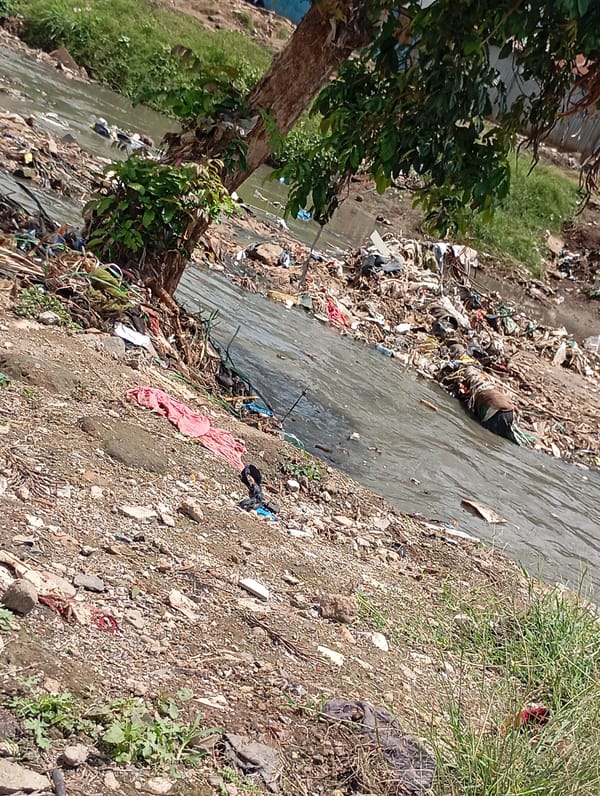 Severe water pollution documented in Nairobi waterway