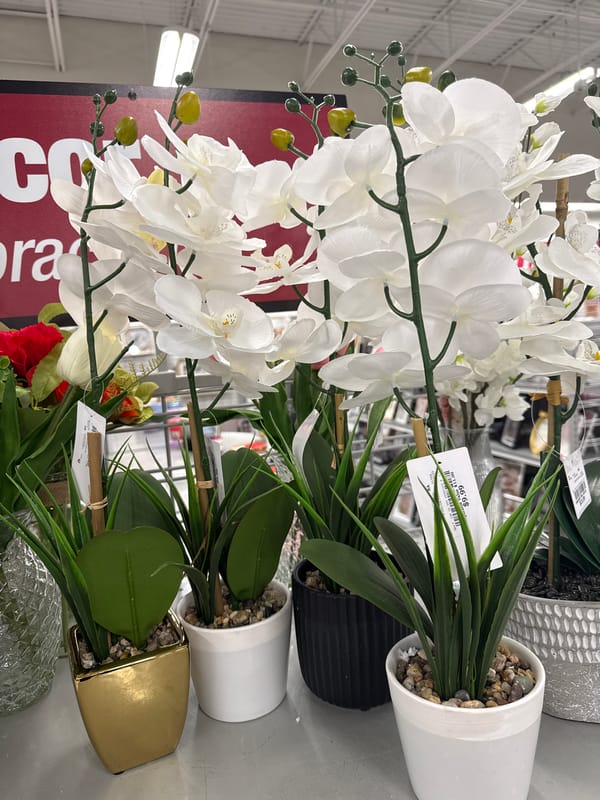 Shopper documents decorative items at Columbus-area retail store