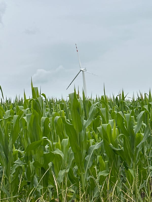 Suzlon wind turbine stands among cornfields in rural Ukraine