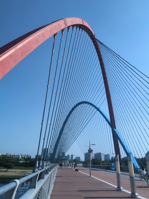 Morning documentation of Daejeon landmarks including Expo Bridge, Hanbit Tower
