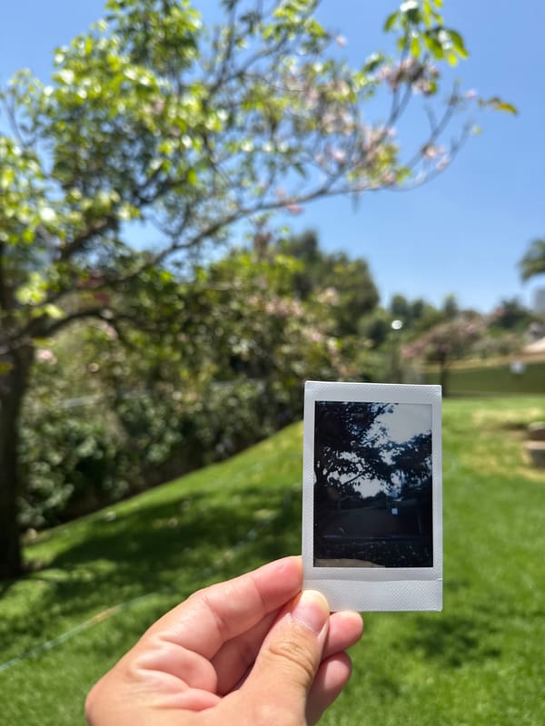 Domestic life documented in Cuernavaca home and surroundings