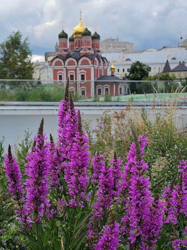 Afternoon walk through Red Square and Moscow's historic center