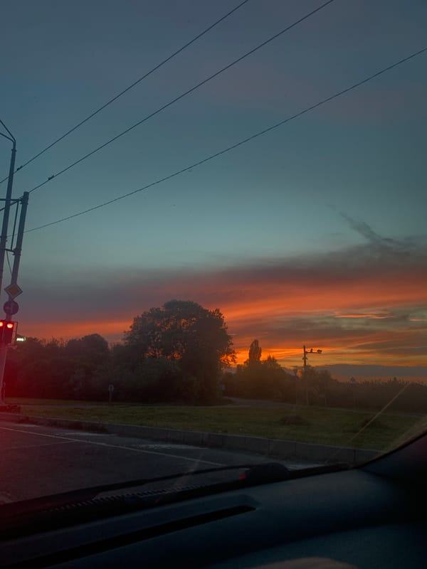 Driver captures colorful sunset view along tree-lined road