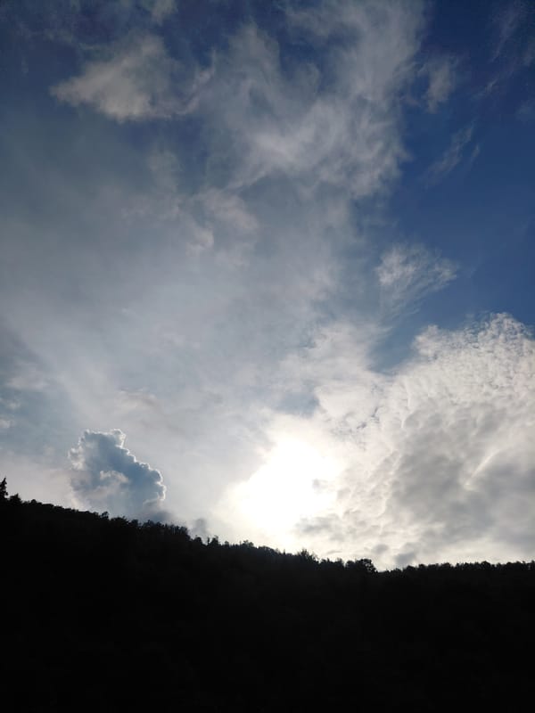 Countryside details and wide skies in Chernyk, Ukraine