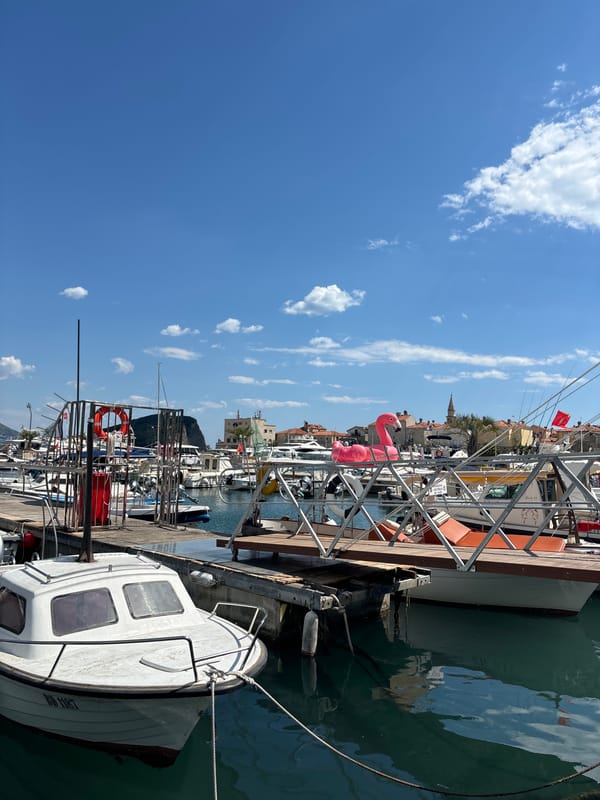 Tourists explore Budva marina and old town during sunny afternoon
