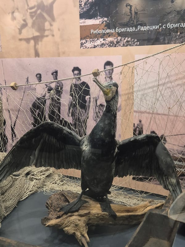 Morning museum visit documented in Tutrakan, Bulgaria fishing heritage site