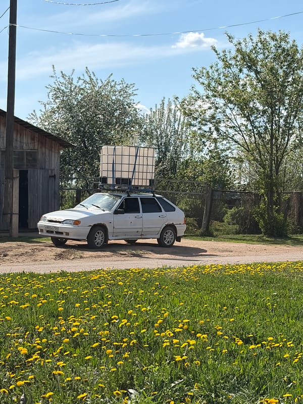 Spring photography session captured in Russian wildflower fields