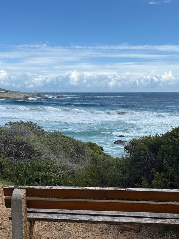 Coastal bench documented during midday visit to Hout Bay