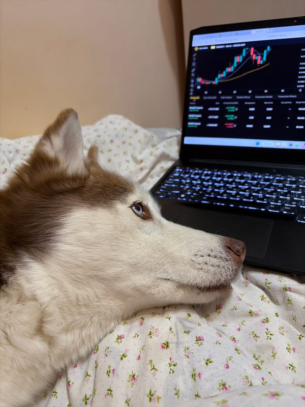 Husky rests beside laptop showing stock charts in Cahul