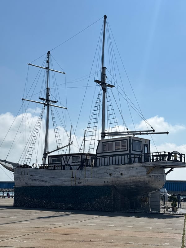 Marina life captured in Sirius, Russia harbor
