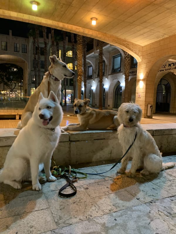 Evening life captured across Tel Aviv neighborhoods