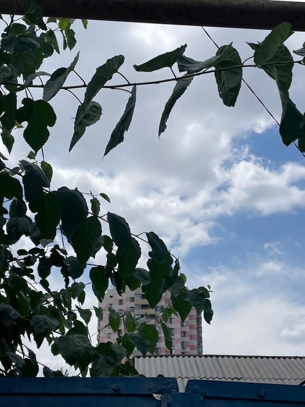 Almaty street life: deliveries, transit, and everyday urban movement