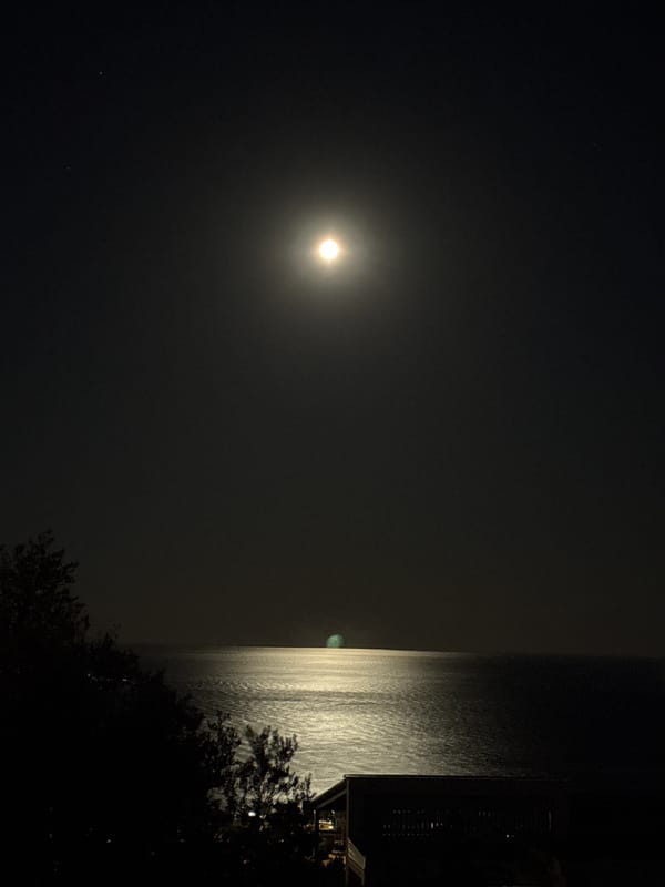 Full moon illuminates Šušanj coastline during nighttime viewing session