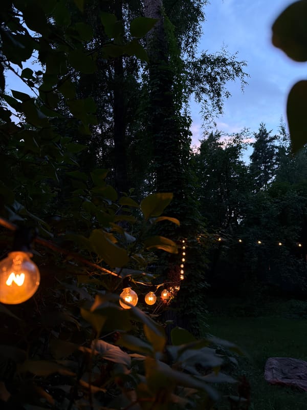 Summer evening in a Russian backyard, lights up, beers out