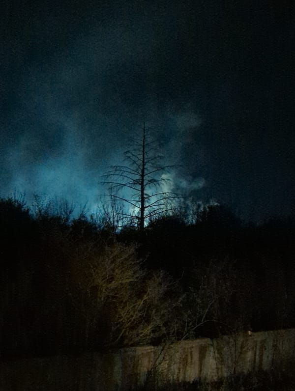 Nighttime scenes documented across Razgrad, Bulgaria over 9-minute span